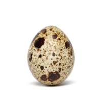 quail-egg-free