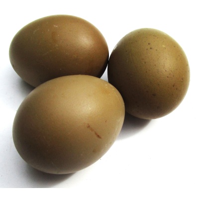 olive_eggs_dark